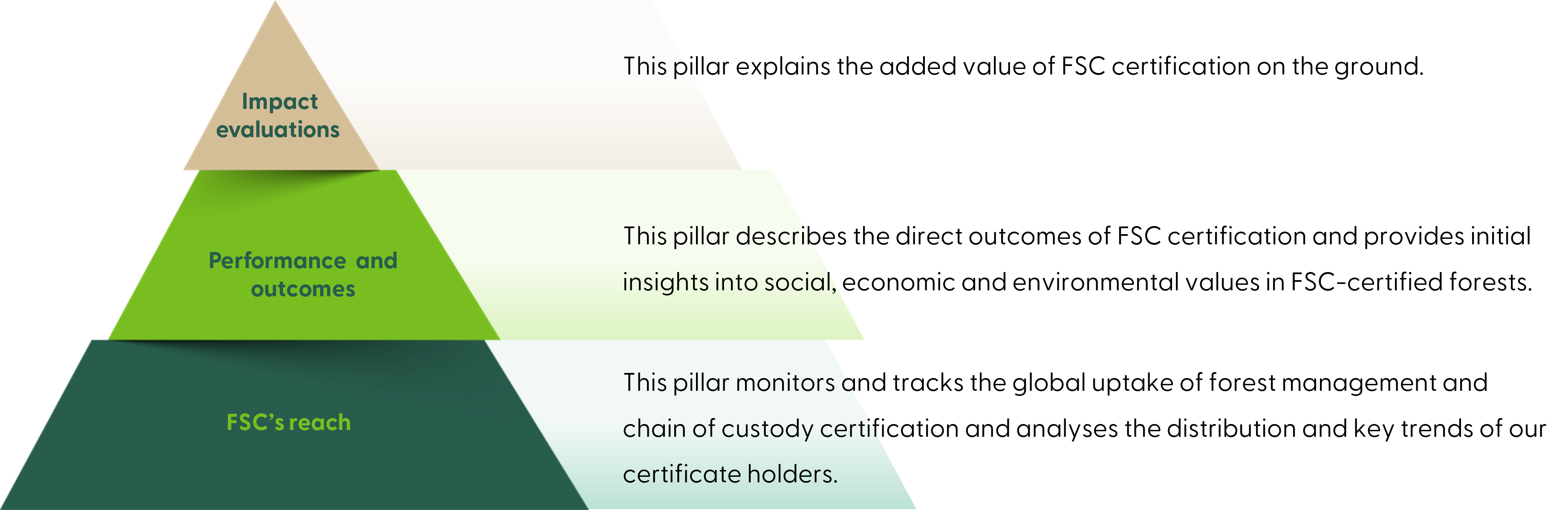 M&E triangle