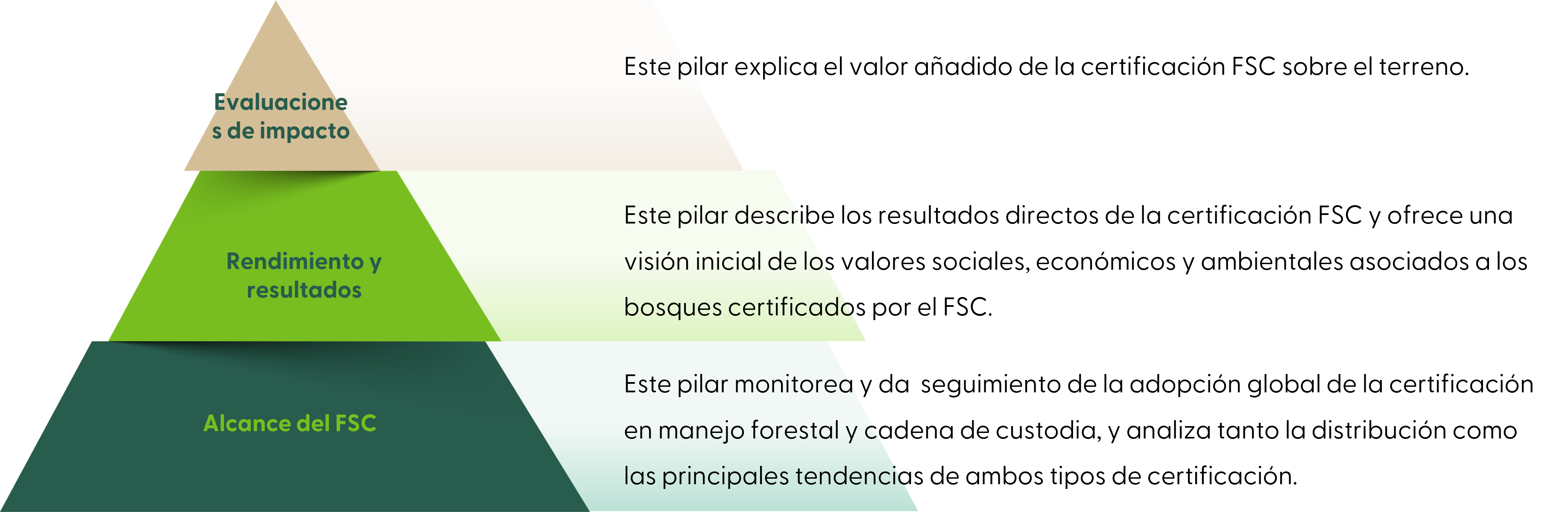 M&E triangle SP