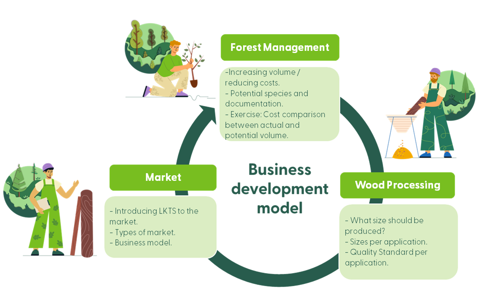 Timber Training Program