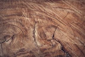 wood close-up