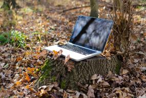 laptop tree