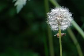 CB Banner Normative Newsfeed