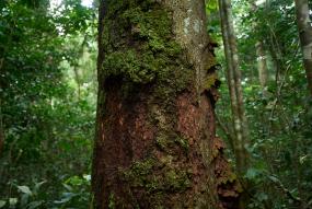 FM Banner Normative Newsfeed