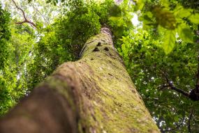 General Banner Normative Newsfeed