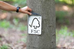 Trademark Banner Normative Newsfeed