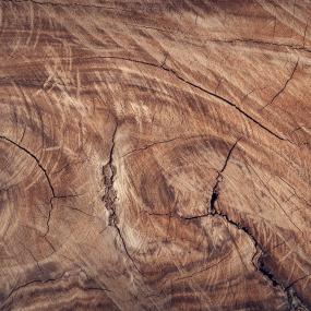 wood close-up