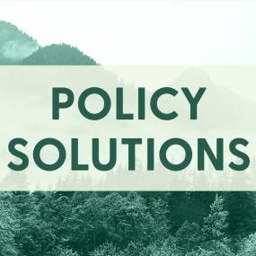 Policy Solutions