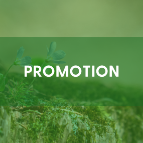 headline: promotion