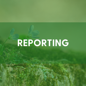headline: reporting