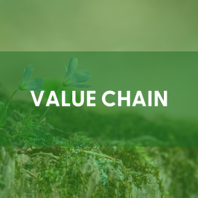 headline: value chain