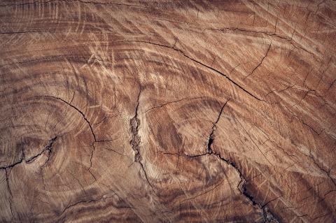 wood close-up