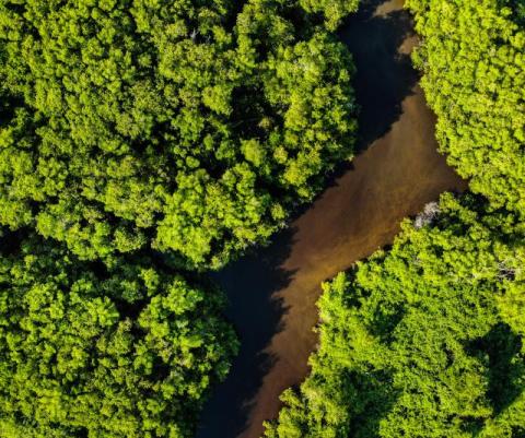 aerial-shot-bird-s-eye-view-brazil