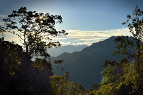 Borneo, Indonesia