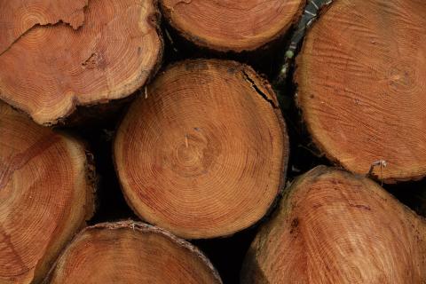 wood