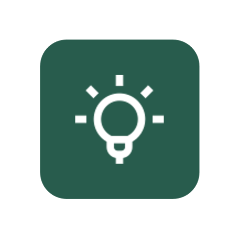 Bulb icon