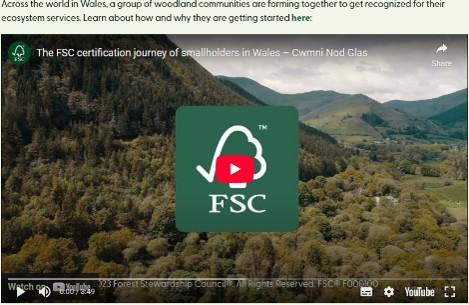 Video CFF Wales