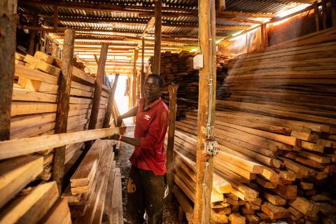 Wood Sawmill in Kenya