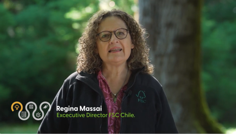 Collective Impact Video Chile Icon