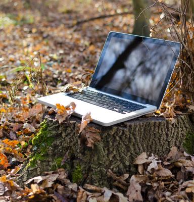 laptop tree