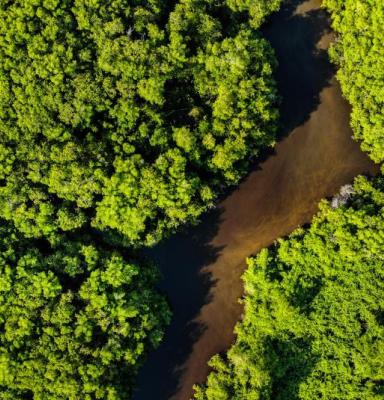 aerial-shot-bird-s-eye-view-brazil