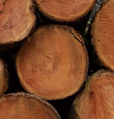 wood