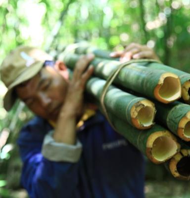 Bambu worker Vietnam