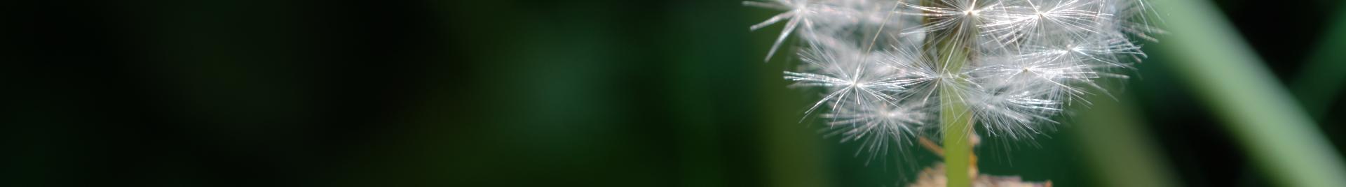 CB Banner Normative Newsfeed