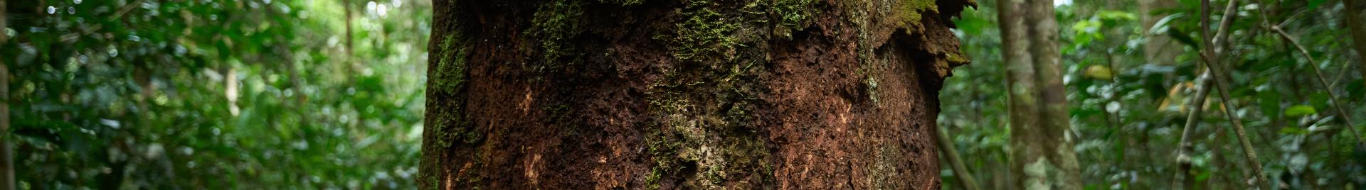 FM Banner Normative Newsfeed