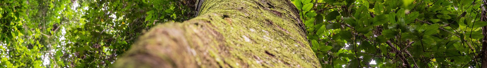 General Banner Normative Newsfeed