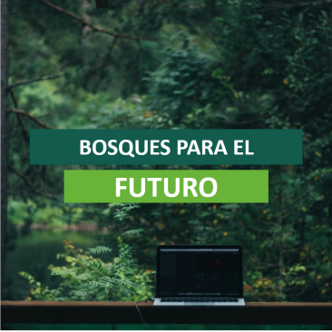 bosques para el futuro