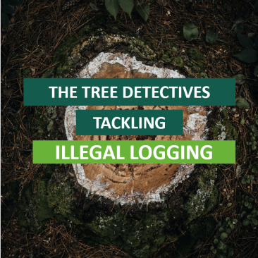 tree detectives