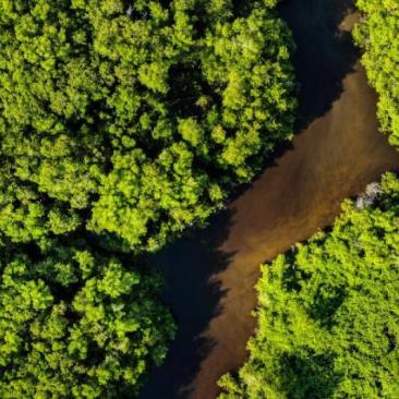 Monitoring FSC's reach