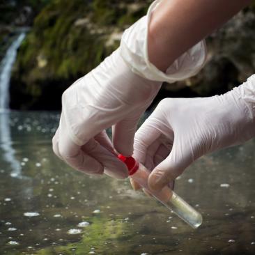 Water quality test and analysis