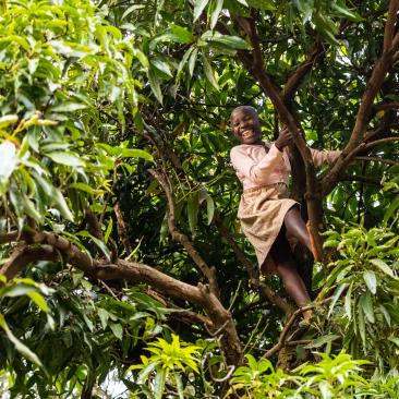 Child in Tree Africa