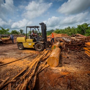 Sawmill